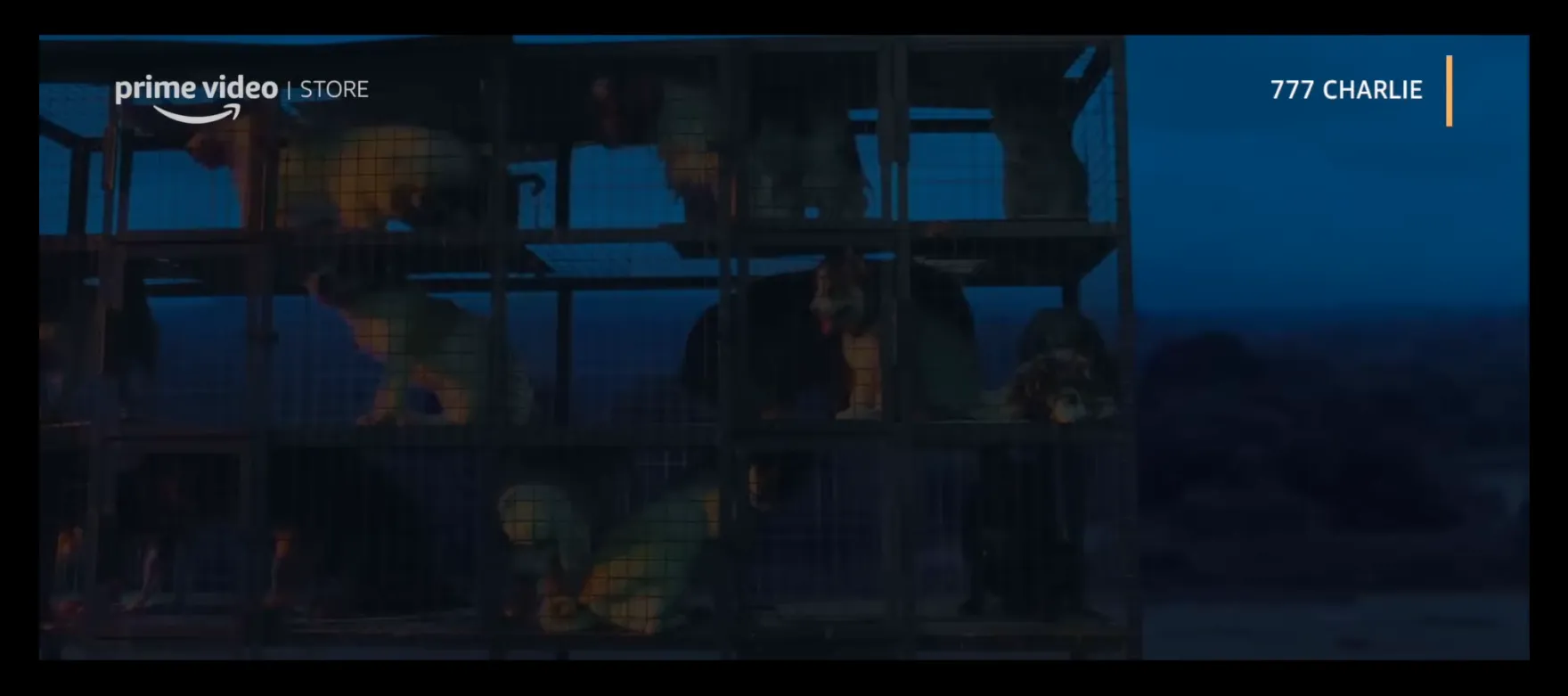 777 Charlie screenshot 1