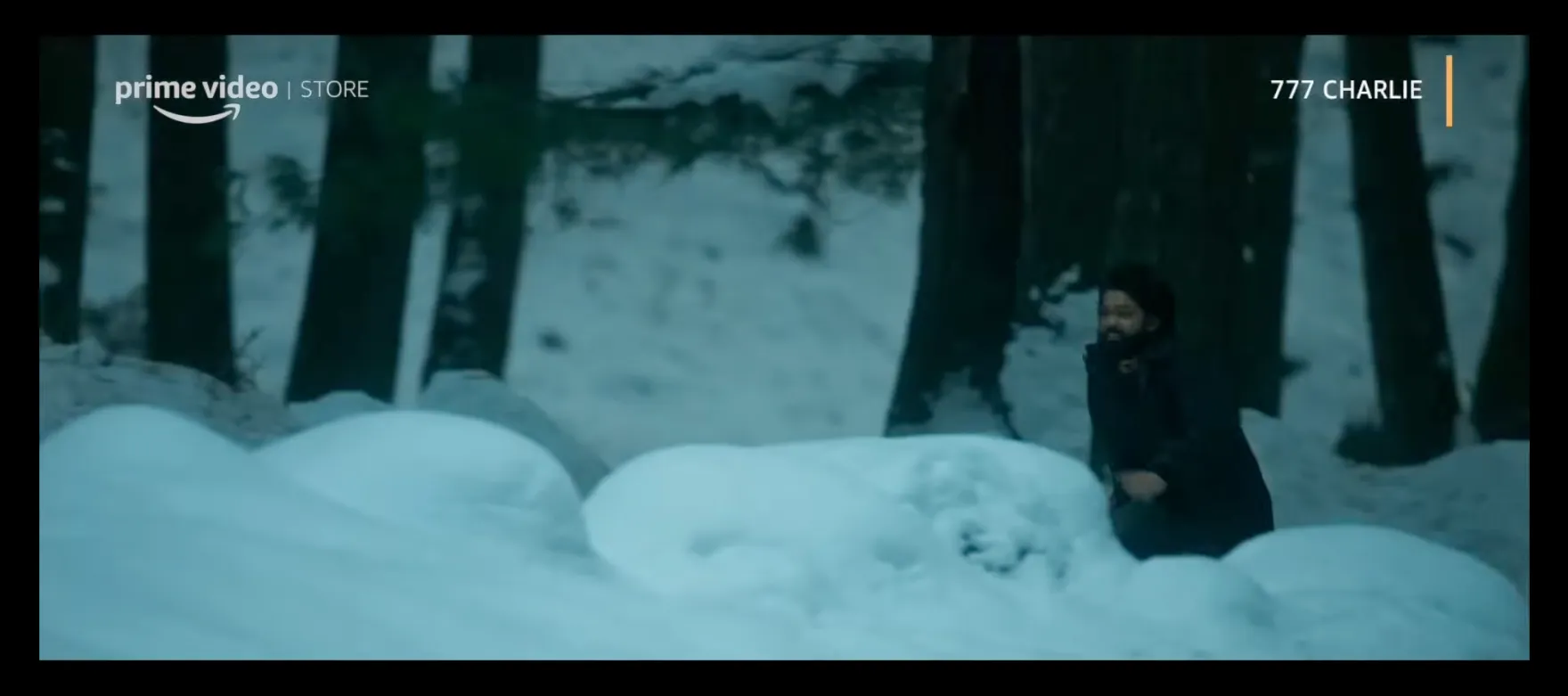 777 Charlie screenshot 3