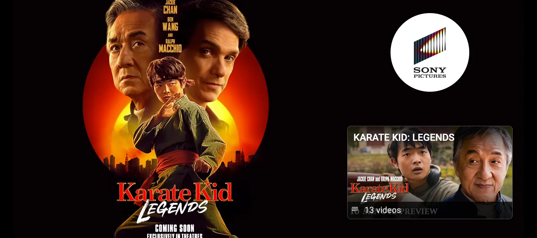 Karate Kid: Legends Screenshot 5