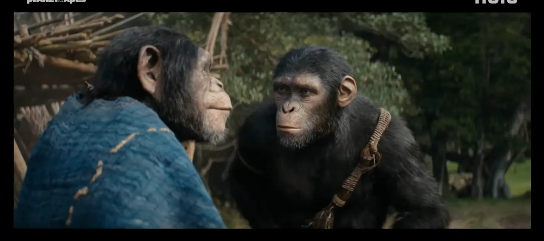 Scene from Kingdom of the Planet of the Apes - screenshot 1