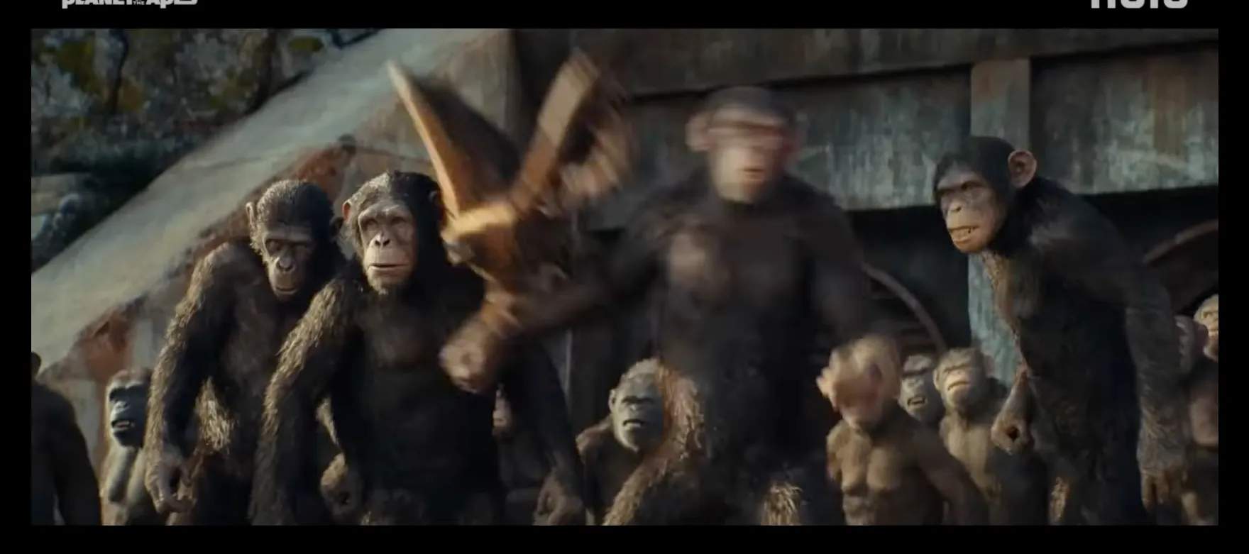 Scene from Kingdom of the Planet of the Apes - screenshot 5